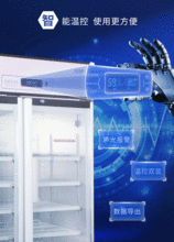 網(wǎng)絡(luò)技術(shù)開發(fā) 連接未來(lái)的橋梁與引擎